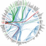 Data driven documents