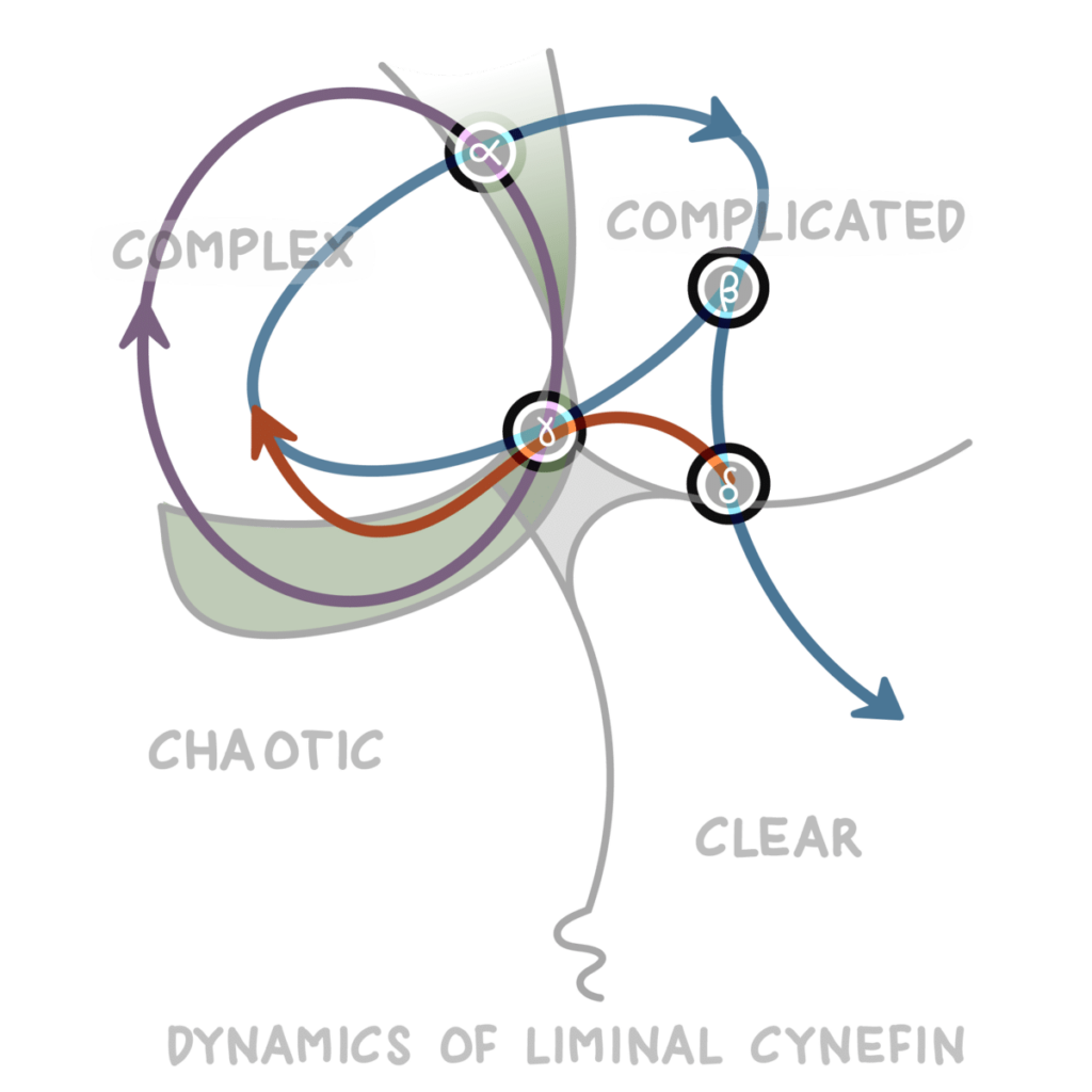 Liminal dynamics cynefin