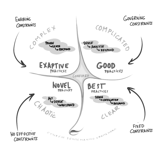 Framework cynefin