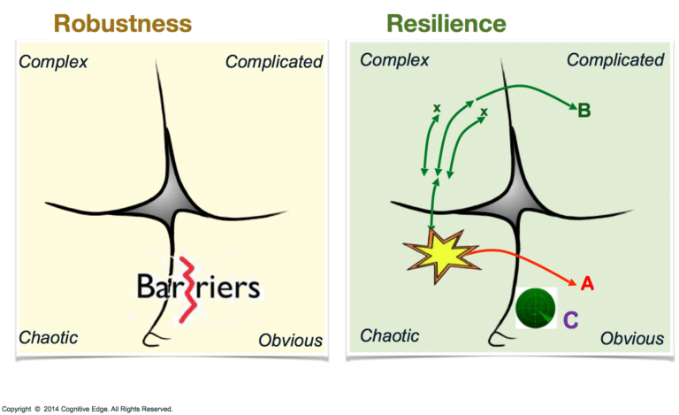 Robustez resiliencia